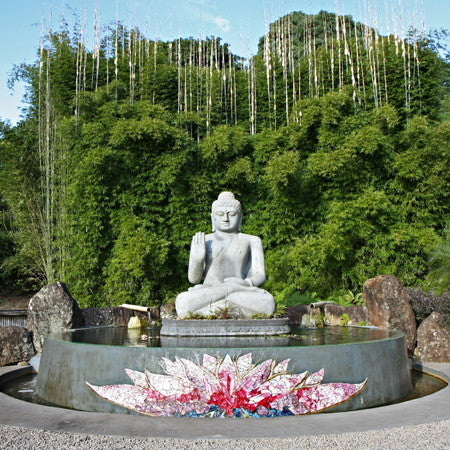 Gracilis backdrop Crystal Gardens