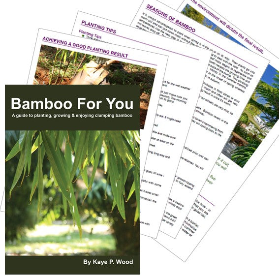 BAMBOO FOR YOU eBook by Kaye P Wood
