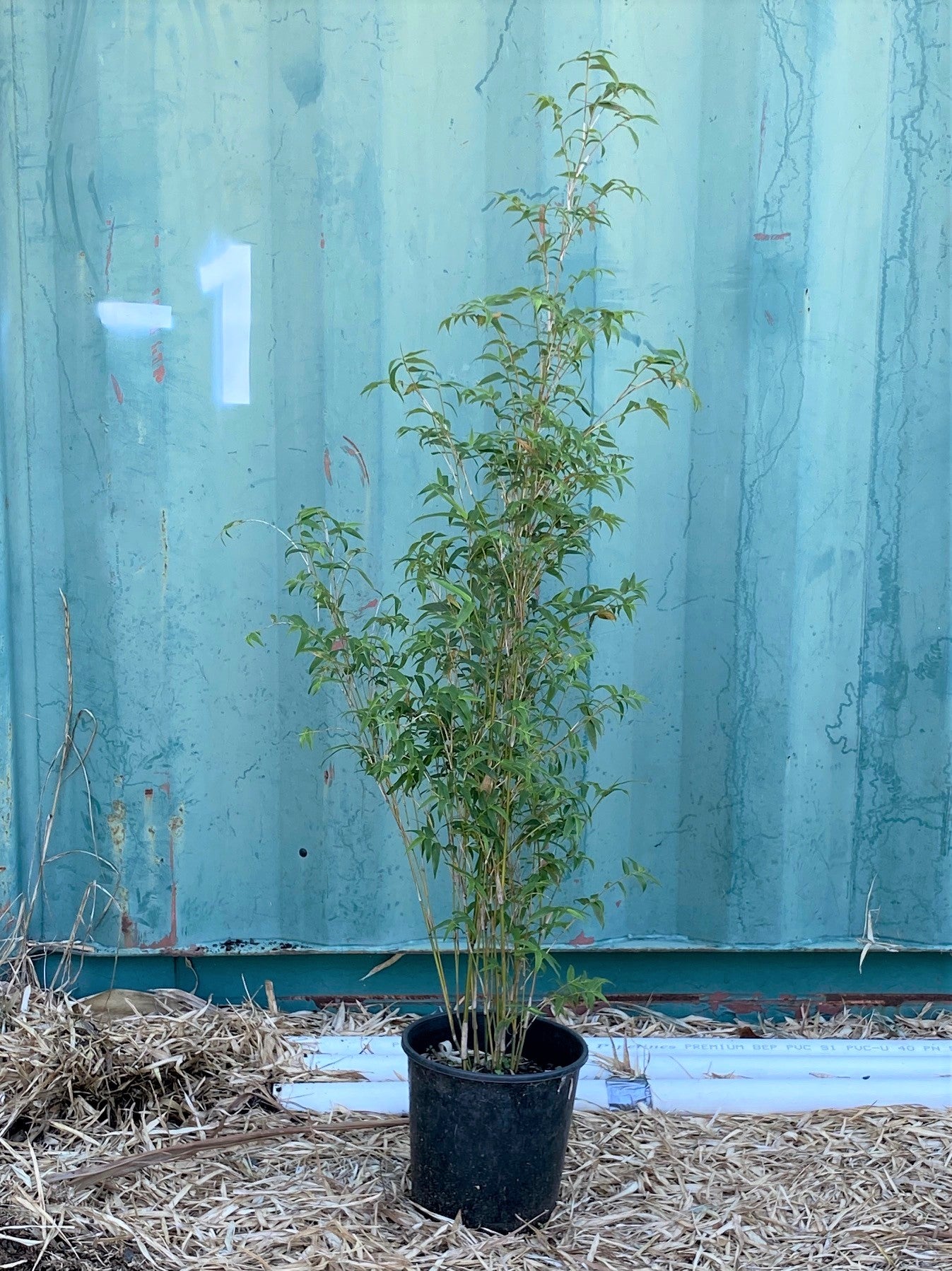 Pots, planters & baskets